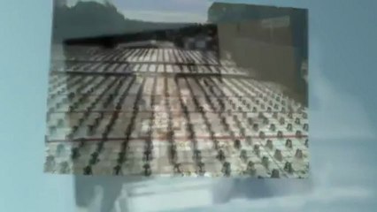 Mechanical Services of Raleigh (919) 779-5688