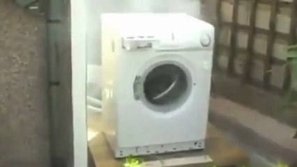 Harlem Shake Machine à Laver