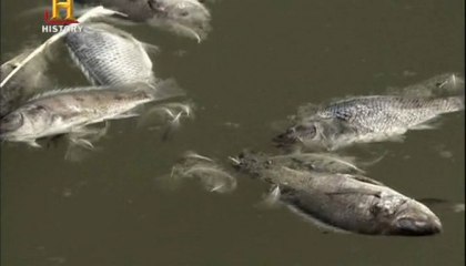 İnsanlardan Sonra Hayat: Tatil Cehennemi