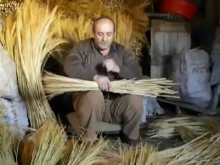 OMV-Petrol Ofisi'nin pisliğini süpüreceğiz!