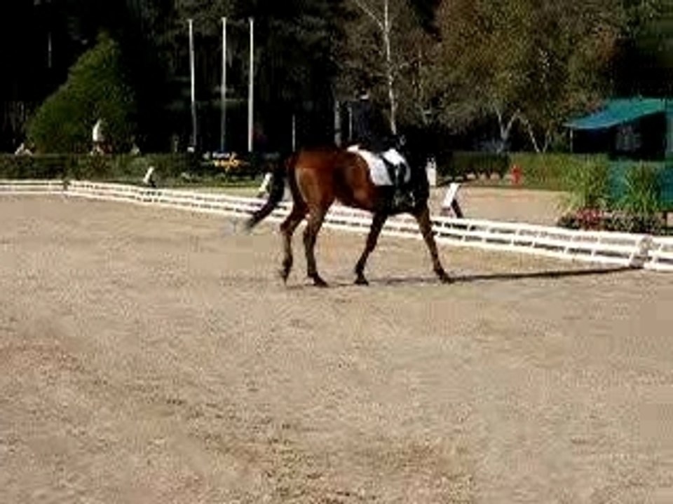 Pirouette au pas