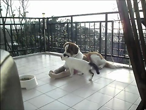 Yapma..., bana bunu yapma...