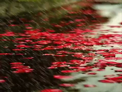 Zara-Seher Vakti Çaldım yarin kapısını