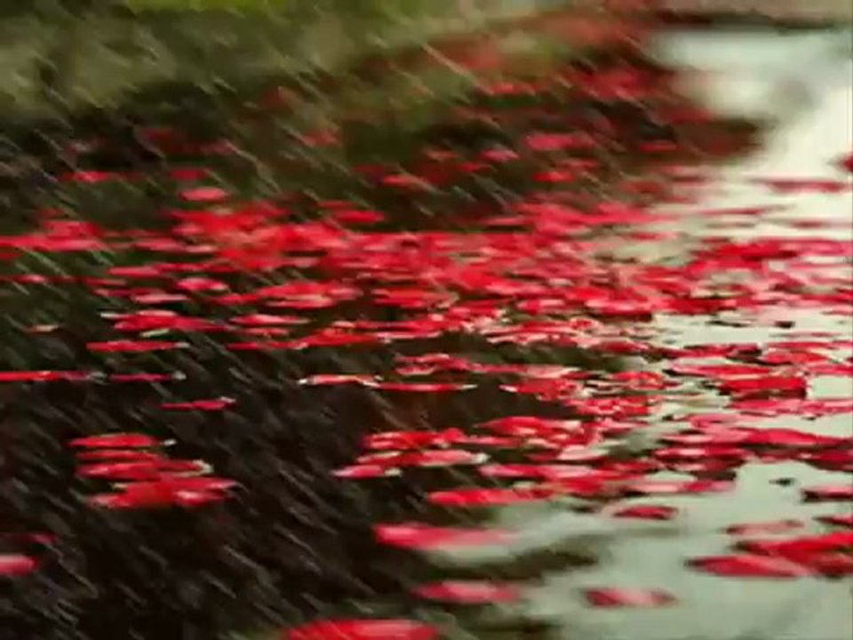 Zara-Seher Vakti Çaldım yarin kapısını