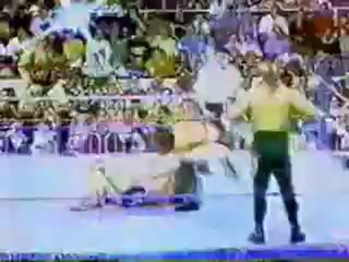 Ultimate Warrior and Legion of Doom vs. Demolition
