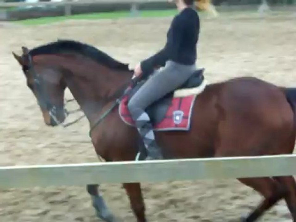 prince 2013 010