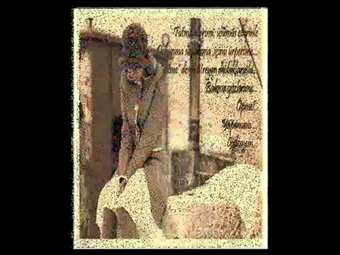 Arzu Sahin-Gidemem -