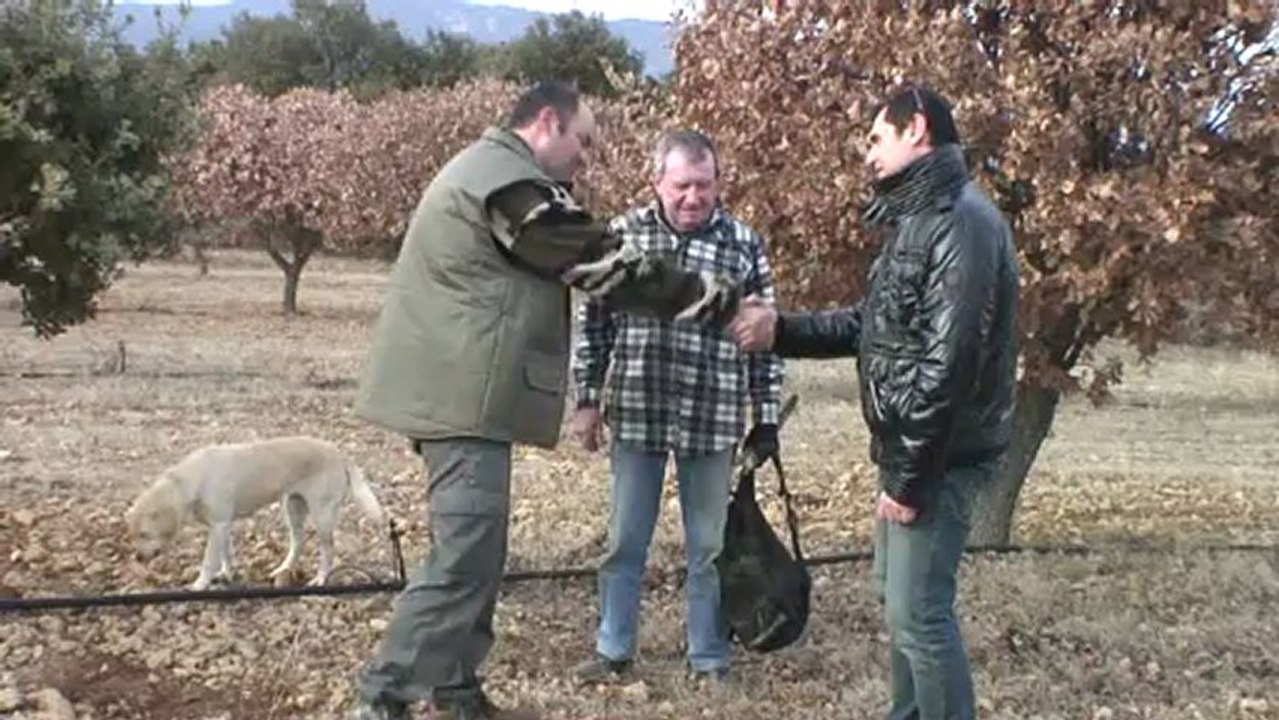 "Le SUD, vous en faites tout un plat" Poireau vert, Pomme de terre violette, Truffe noire