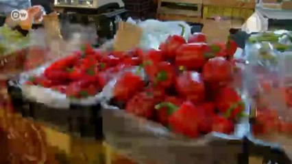 Stadtbummel durch Szeged in Südungarn | Euromaxx city