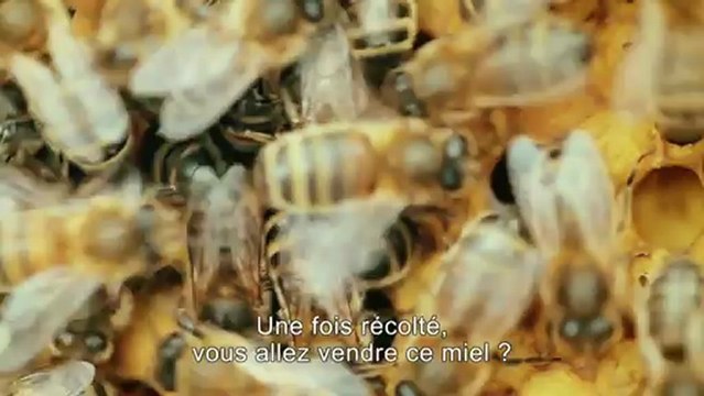 Ep 07: Planète Orange à Caen : let it bee, des abeilles sur nos toîts