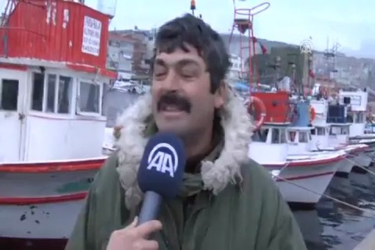 Yunusların balık keyfi