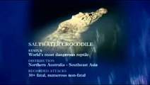 Steve Irwin's Ocean's Deadliest | Saltwater Crocodile I | Part 7/9