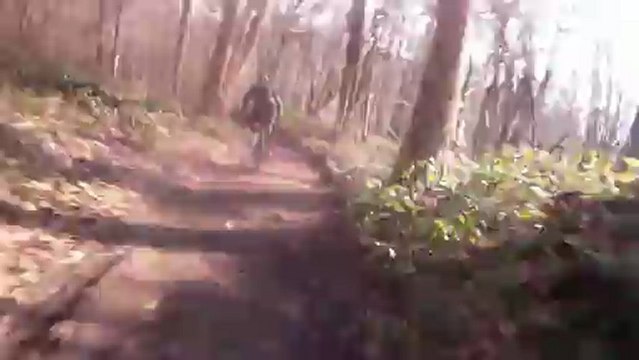 Rando VTT autour de Caudebec en Caux