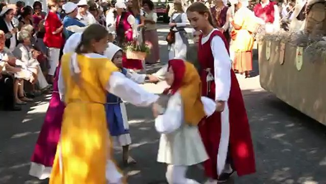 La fête des moissons du riz de Camargue - Arles