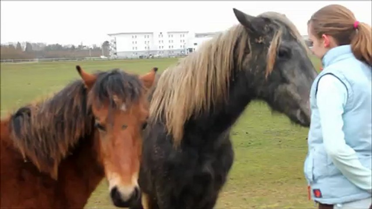 Toutes nos vidéos, depuis décembre 2012.