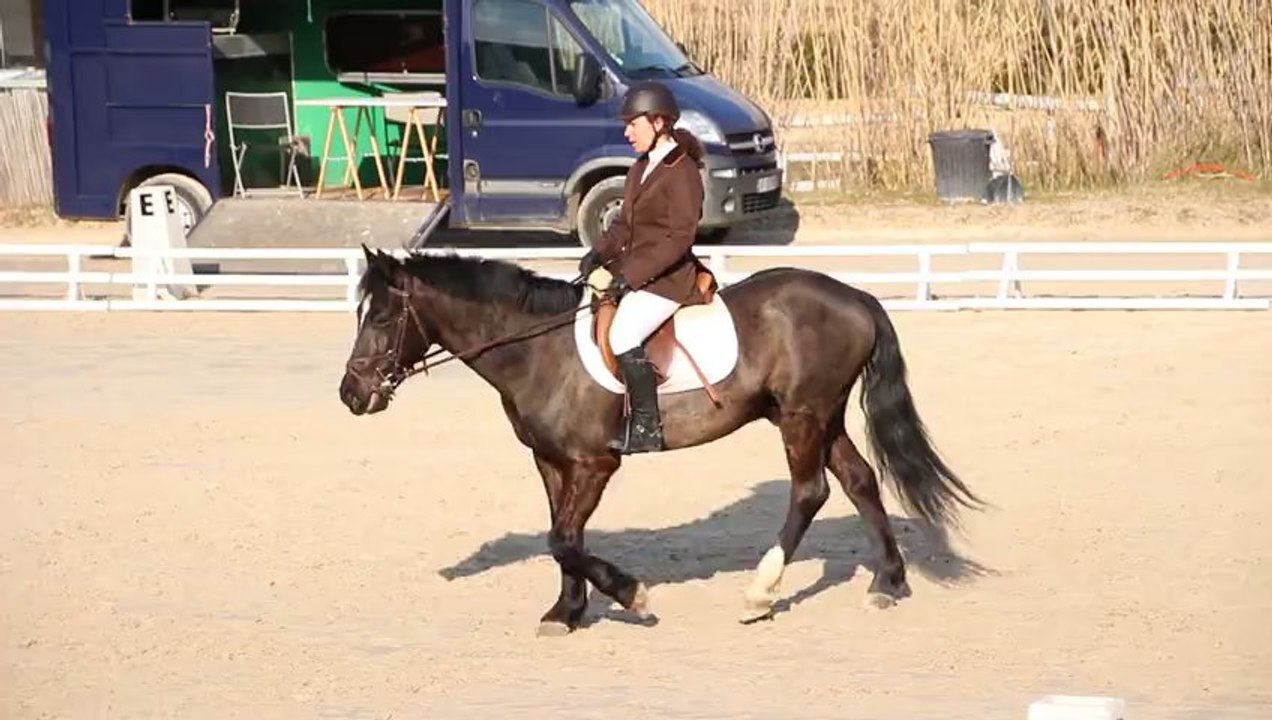 Rubin et Lorraine Dressage Club 2
