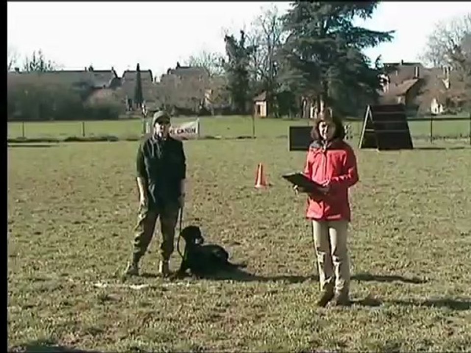 Daicko du Bois de Liers IPO 3 samatan 2013 B: 90/100