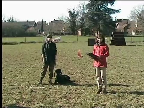 Daicko du Bois de Liers IPO 3 samatan 2013 B: 90/100