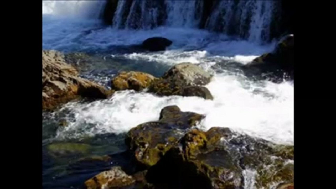 Mise en garde contre Muhammad al Mukhtâr al Shinqi