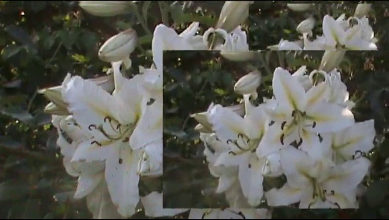 ANDRZEJ KOZIŃSKI  -  NADZIEJA