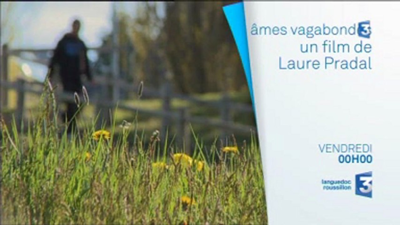 BA Ames vagabondes