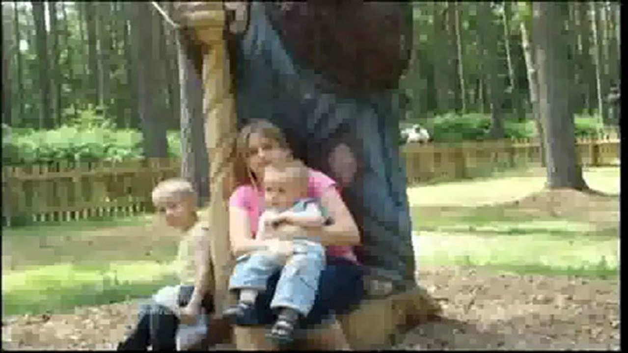 Anglia News Luton City Status & Meningitis UK & Essex Stansted Airport