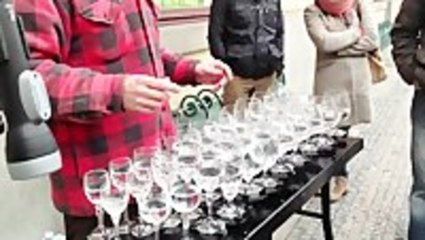 Street Artist Playing Hallelujah On Crystal Glasses