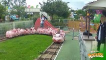Parc Du Bocasse - Les Trois Petits Cochons - Attraction pour enfants