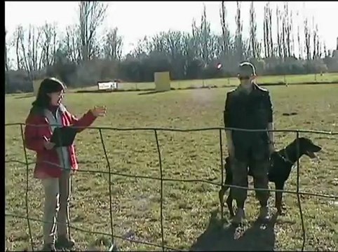 Daicko du Bois de Liers samatan 2013 IPO partie C