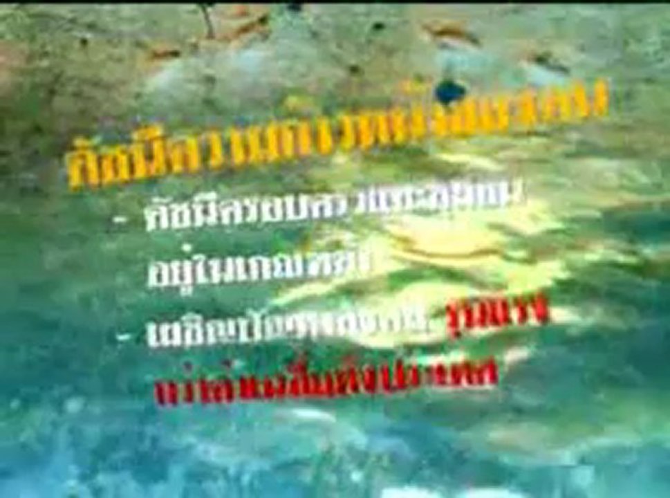 Rayong_VTR_1.wmv