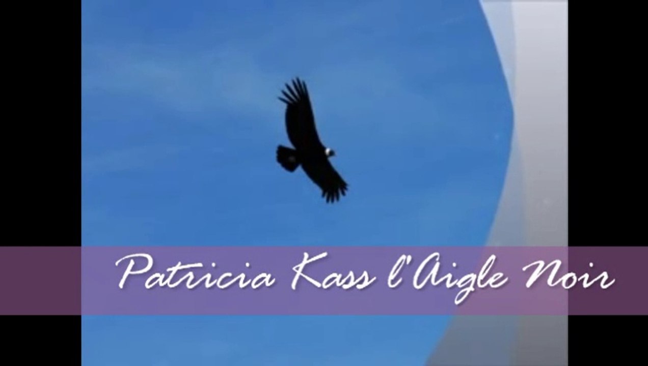 Patricia Kass l'Aigle Noir