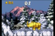 Donkey Kong Country [3] Les niveaux Bonus, parce que je le vaux bien!