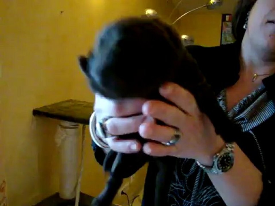 MOV07370 chiot blanc