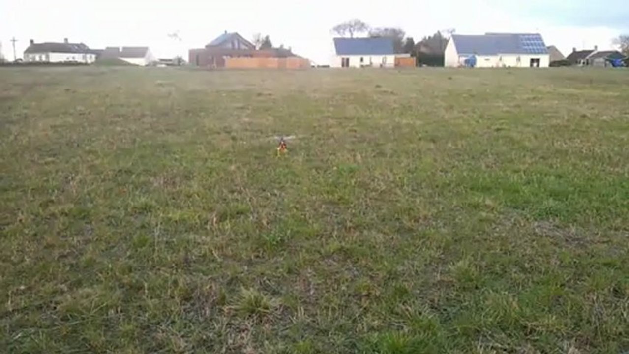 Beau Vol Du Trex Pour Moi