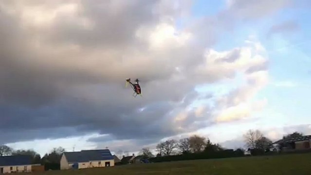 1er Petit Vol du Trex apres l'entrainement avec mon nano cpx il bouge un peut il et vif le gamin...