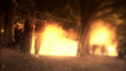 Projections Sauvages de l'Art.35mm - Teaser - 34"