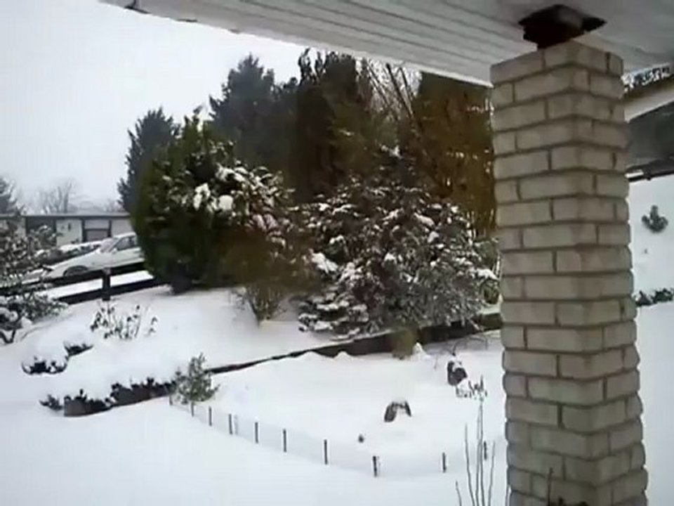 Orbs im Garten in voller Länge ..