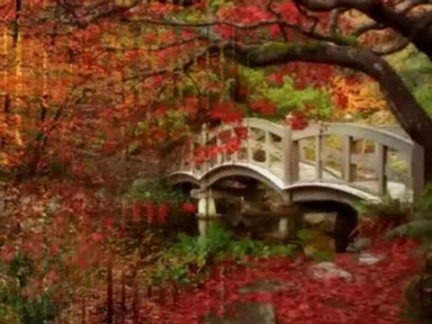 15.11.2007 - Bütün Dünyayı Bu Devirde Hedefe, Dünya ve Ahiret Mutluluğuna Ulaştıracak Olan da İslâm’dır. _ Mutluluk-Yarenlik _ Sohbet Dökümanları - Uluslararası MİHR Vakfı (Türkçe) tr.mihr.com