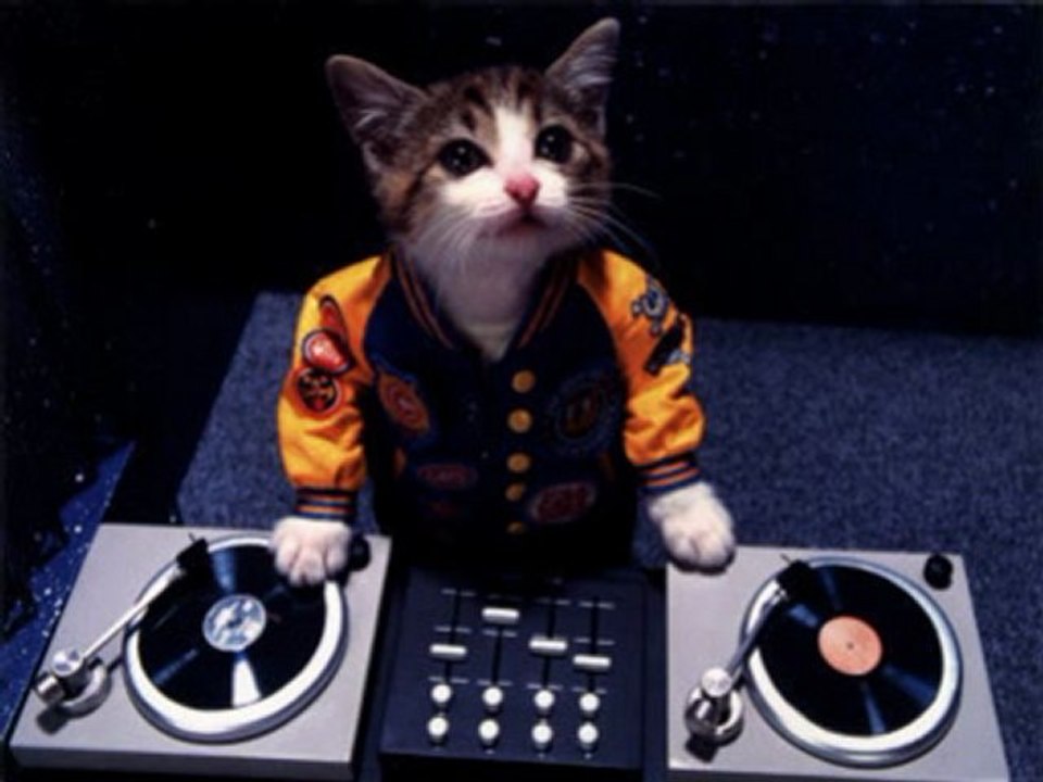 mix with Brook Candy, ASAP Rocky, 2 Chainz, Drake, Alicia Keys, Dr Dre, Adje