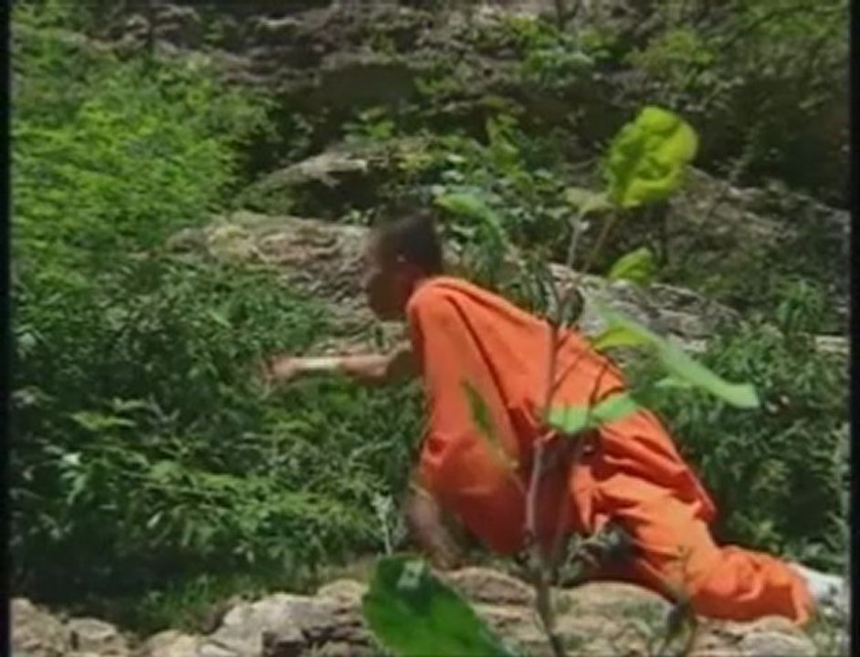 Les capacités surhumaines des moines shaolin