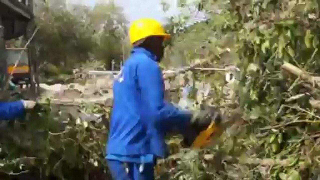 Présentation du Service Aménagement  Paysager de l'Espace Sud Martinique