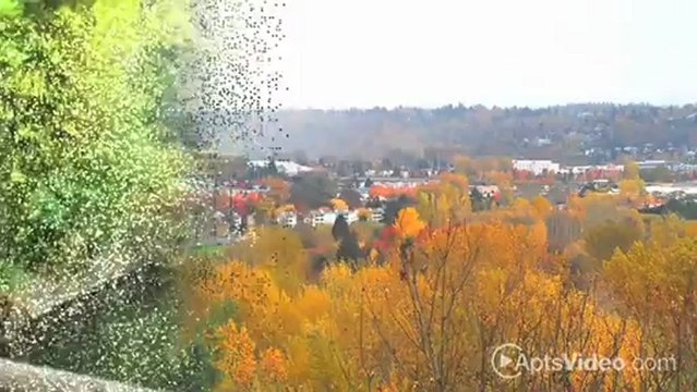 Swiss Gables Apartments in Kent, WA - ForRent.com