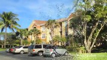 Parrot's Landing Apartments in North Lauderdale, FL - ForRent.com