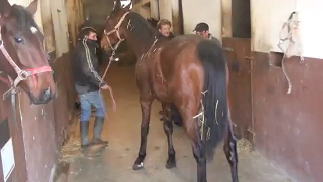 EXPLICATION DES SOUCIS DE BIPLAYER