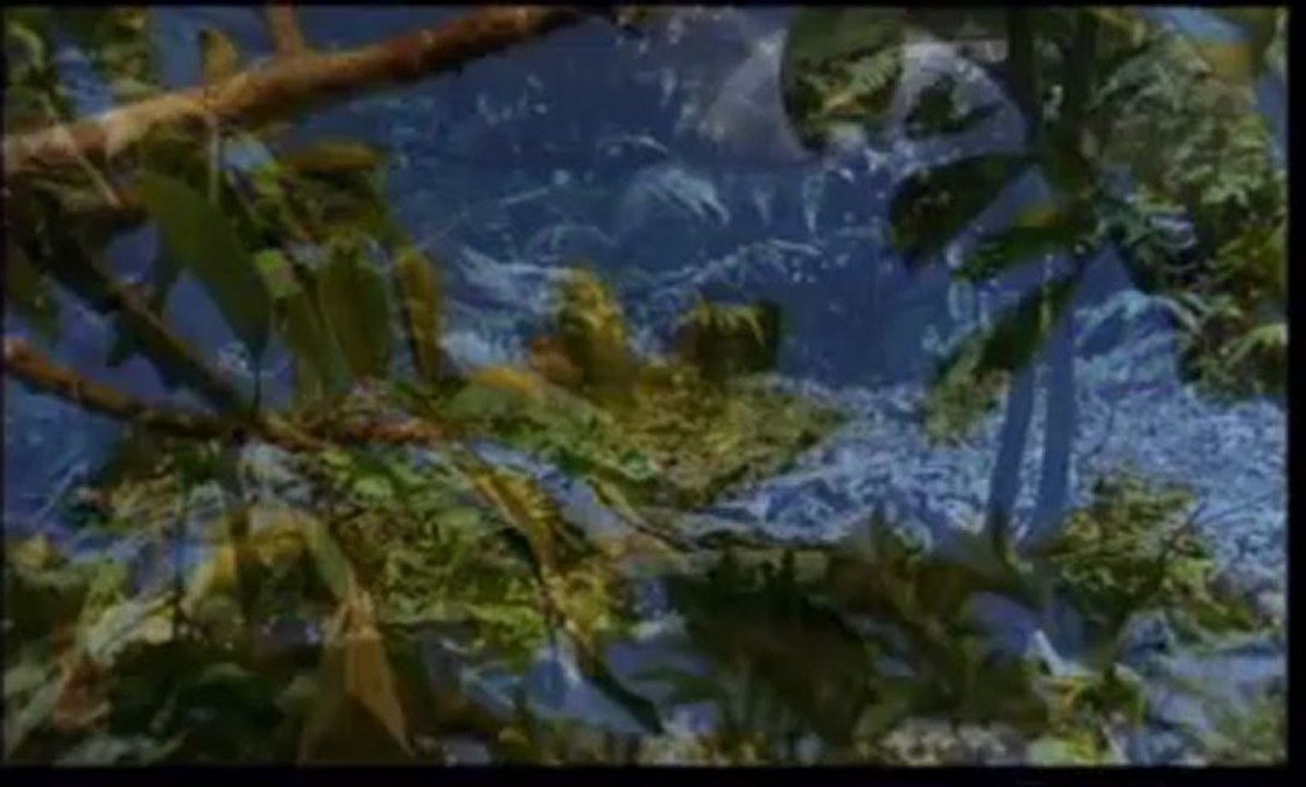 el jaguar