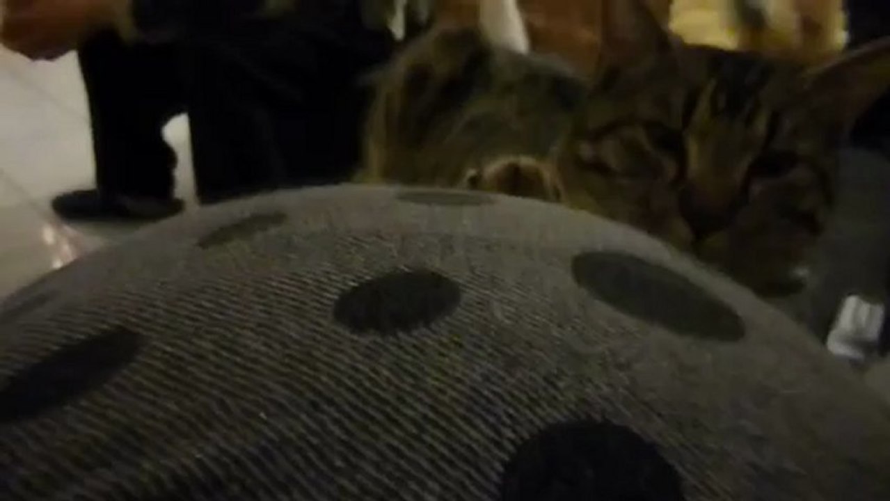Eh oh .. Il y a quelqu'un ? :)