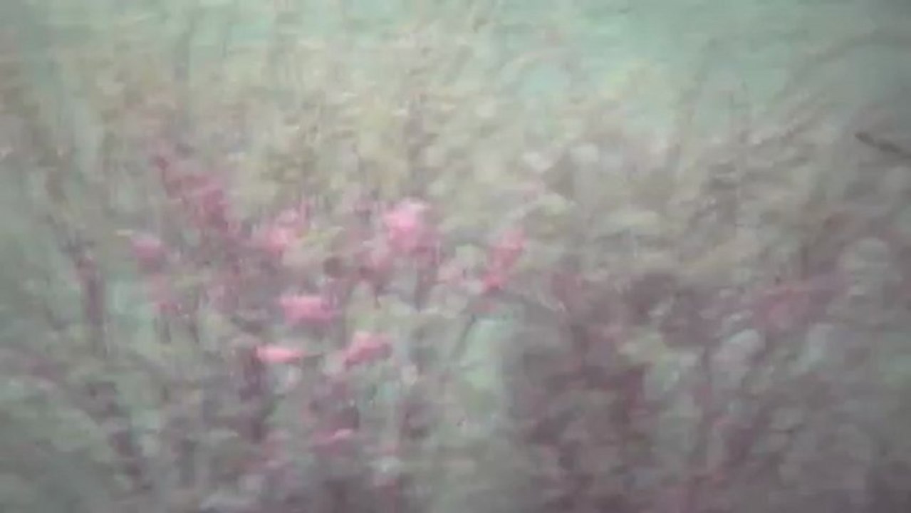 Sainte-Genevieve-Des-Bois