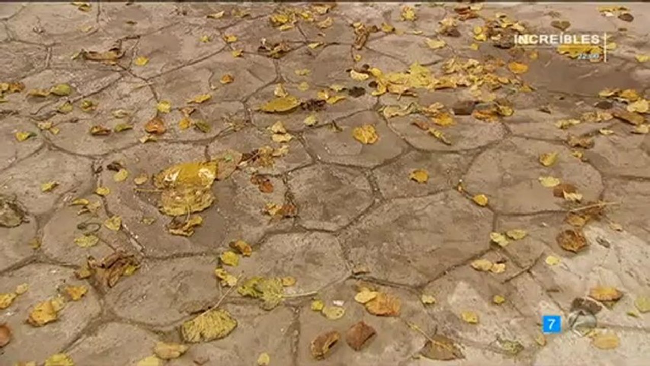 TRISTAN EMILIA SACAREMOS A PADRE DE ALLI ESDPV 22-02-2013