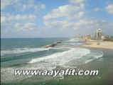 Passover apartment rentals in Israel 972-544421444 (10 minutes from Tel Aviv)