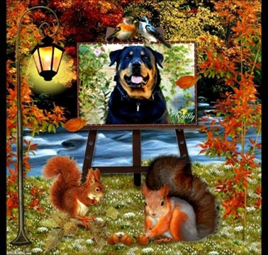 Princesse, Joyeux Anniversaire